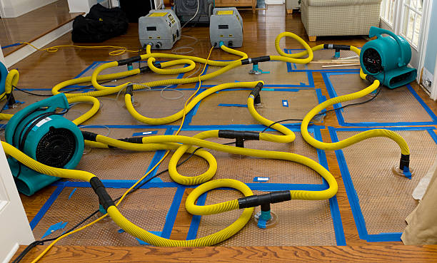 Professional Basement Flood Cleanup technician working in Round Hill, VA